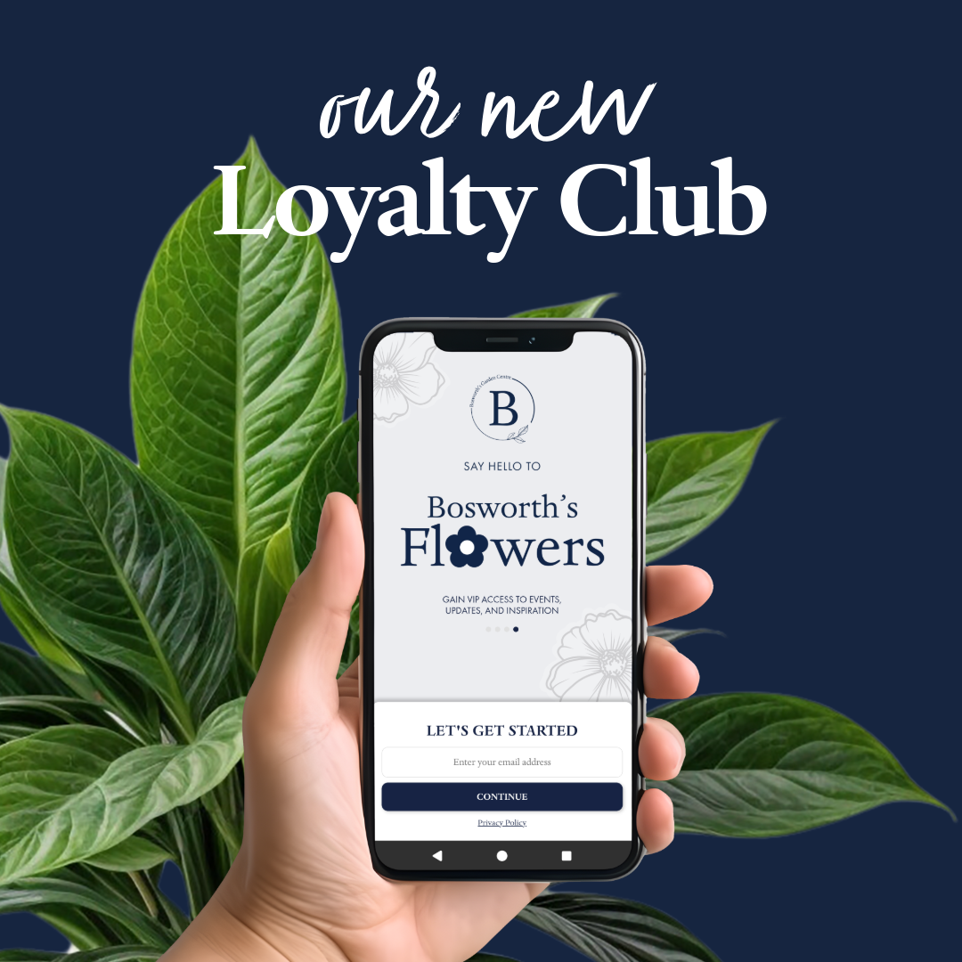Everything You Need to Know About the New Bosworth's Rewards App