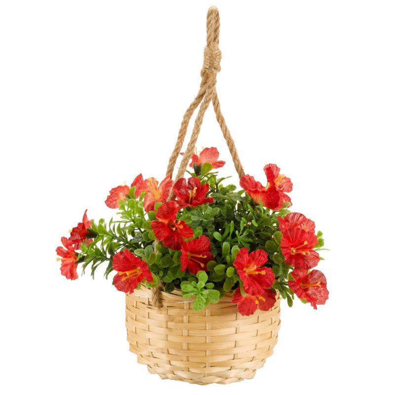 Smart Garden Basket Bouquet - Blossom Single