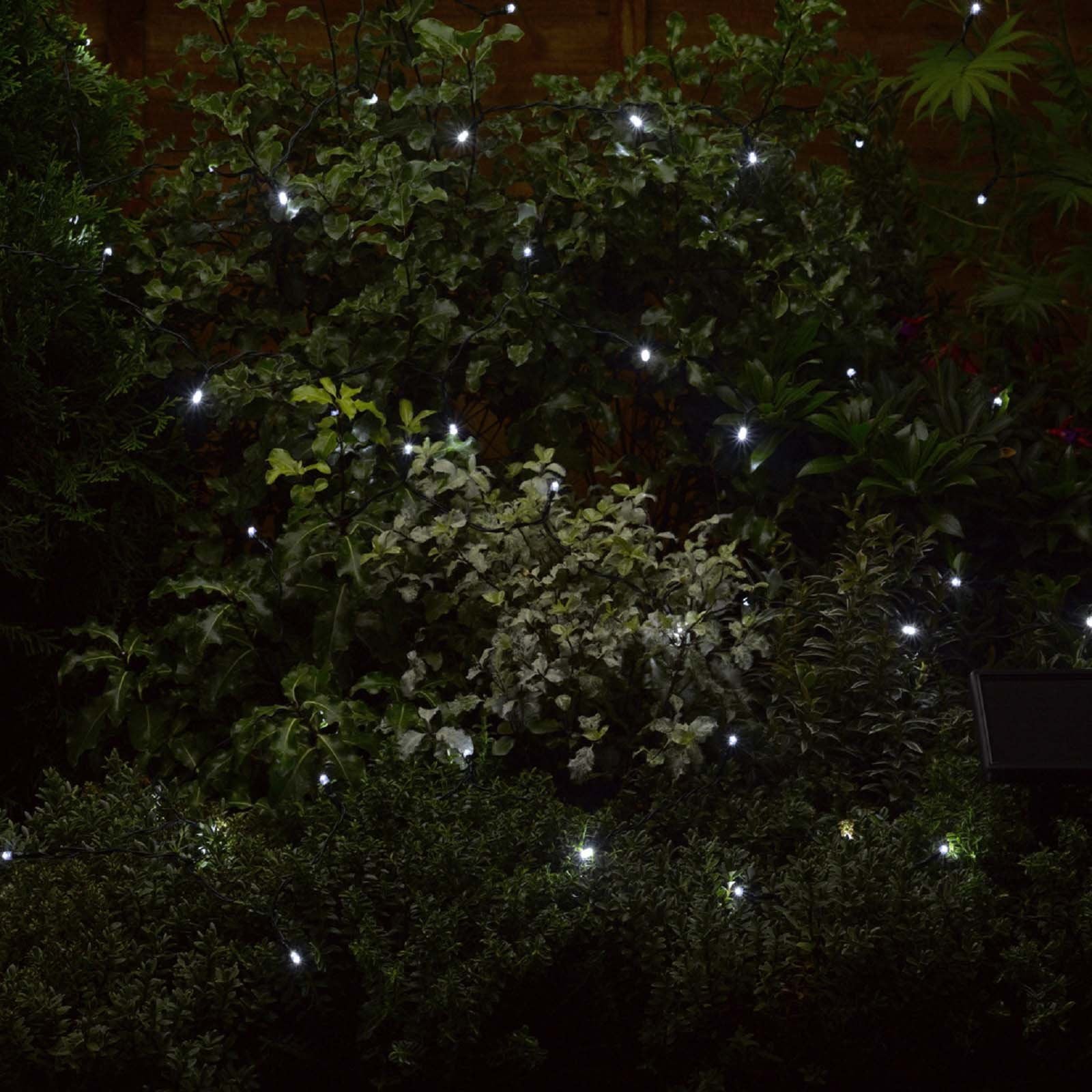 Smart Garden 50 Solar Strings Cool White String Lights