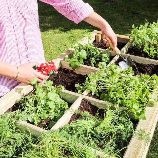 Zest 4 Leisure Raised Herb Planter