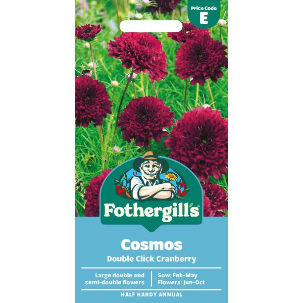Mr Fothergills Cosmos Double Click Cranberry
