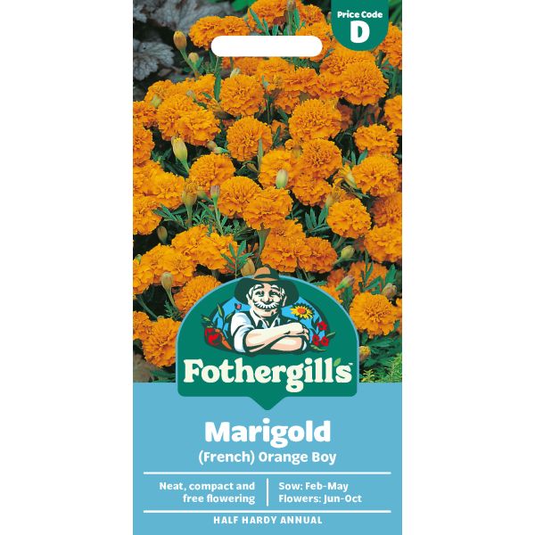 Mr Fothergills Marigold (French) Orange Boy