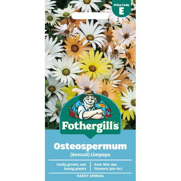 Mr Fothergills Osteospermum (Annual) Limpopo
