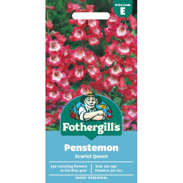 Mr Fothergills Penstemon Scarlet Queen