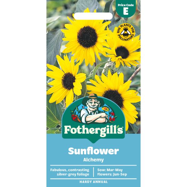 Mr Fothergills Sunflower Alchemy
