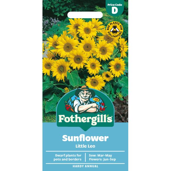 Mr Fothergills Sunflower Little Leo
