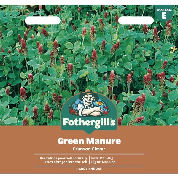 Mr Fothergills Green Manure Crimson Clover