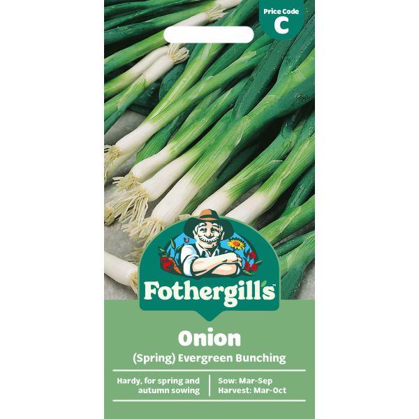 Mr Fothergills Onion (Spring) Evergreen Bunching