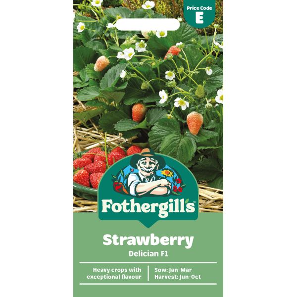 Mr Fothergills Strawberry Delician F1