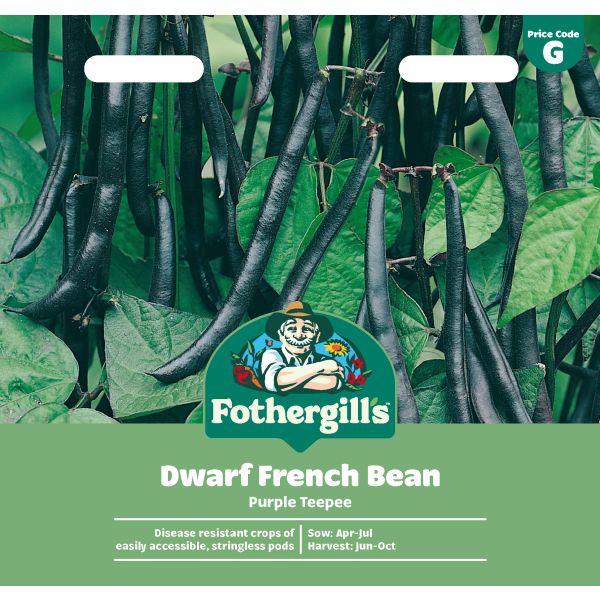 Mr Fothergills Dwarf French Bean Purple Teepee