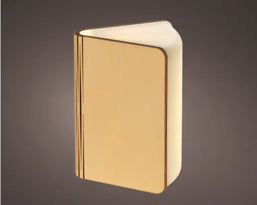 Lumineo Light Up LED Paper Book Warm White & Cool White 12cm