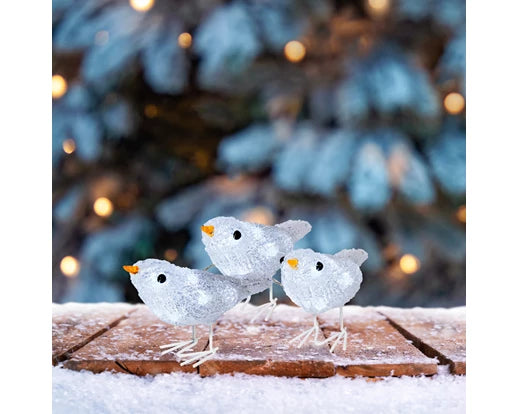 Lumineo LED Acrylic Bird
