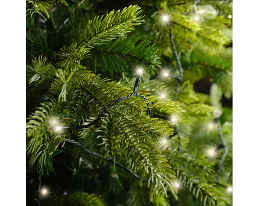 Lumineo Basic LED Lights Indoor/Outdoor Warm White 24 LED 175cm