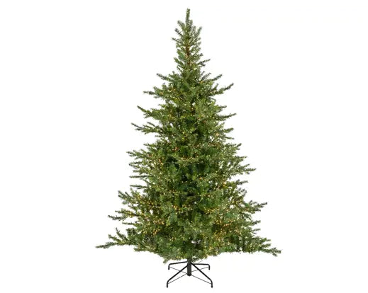 Everlands Lit Grandis Fir Green & Warm White