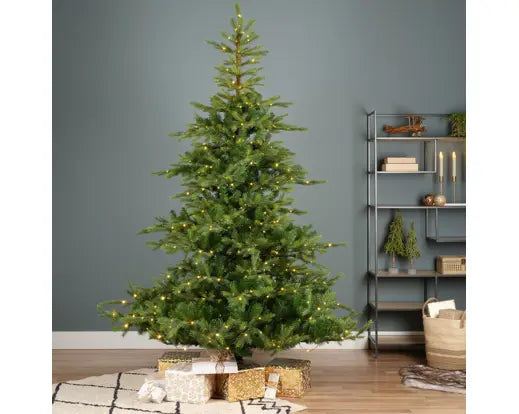 Everlands Lit Grandis Fir Green & Warm White