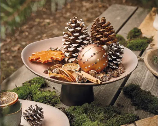 Pinecone Natural White Tips Pack Of 3