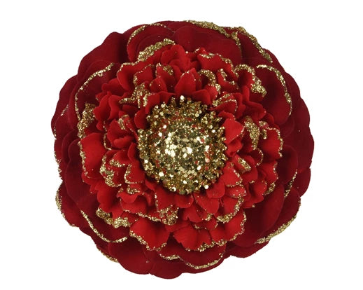 Everlands Flower Zinnia Polyester Glitter Edge Oxblood Single Assorted