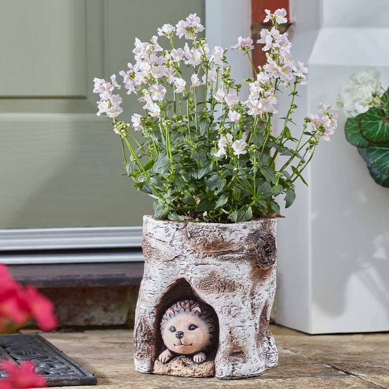 Smart Garden Hog Log Planter