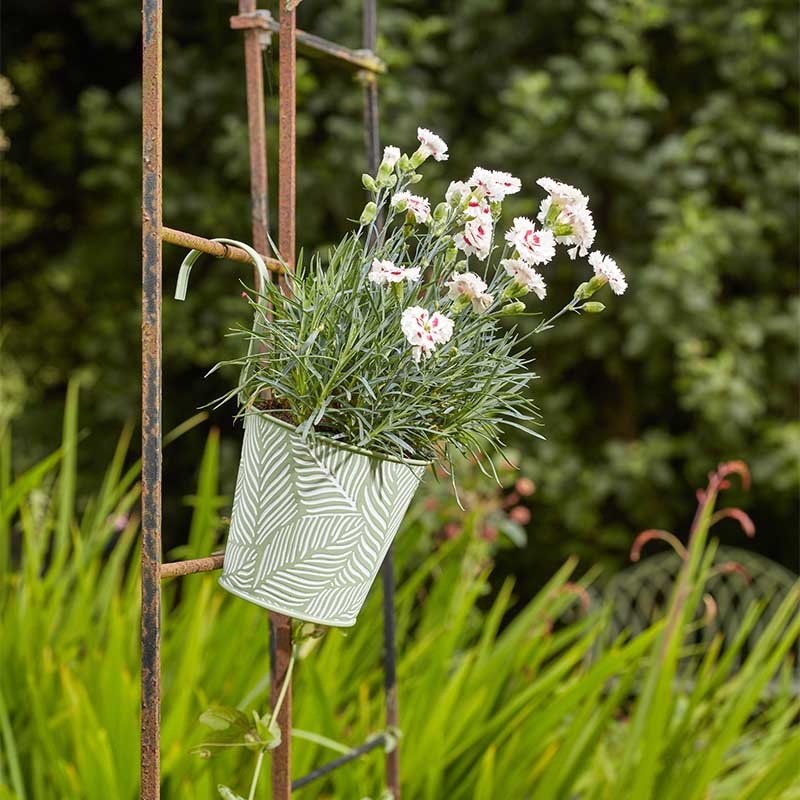 Smart Garden 6in Fence & Balcony Hanging Pot  - Fern - Sage