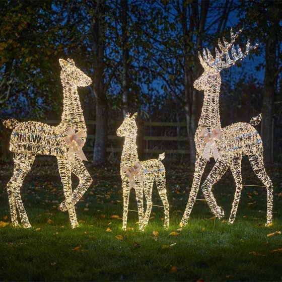 Smart Garden GoldTwist Stag