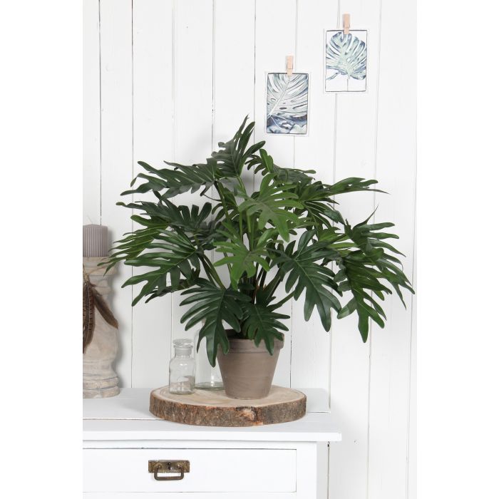 Mica Artificial Potted Philodendron Selloum 50cm