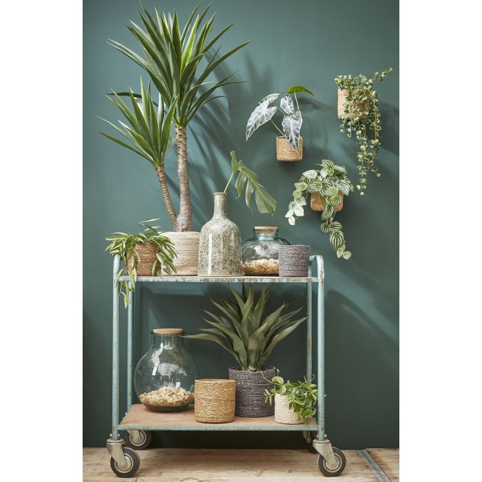 Mica Atlantic Seagrass Plant Basket Cream 12cm
