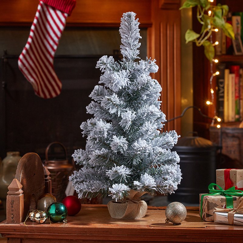 Smart Garden Frosty Fir  60cm