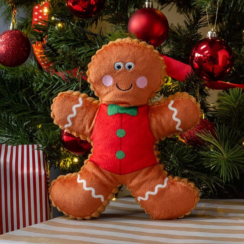 Smart Garden Gingerbread Buddies PlayPal