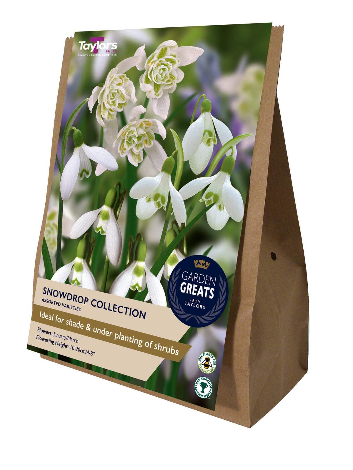 Taylor's Bulbs Garden Greats Pack Snowdrop Collection