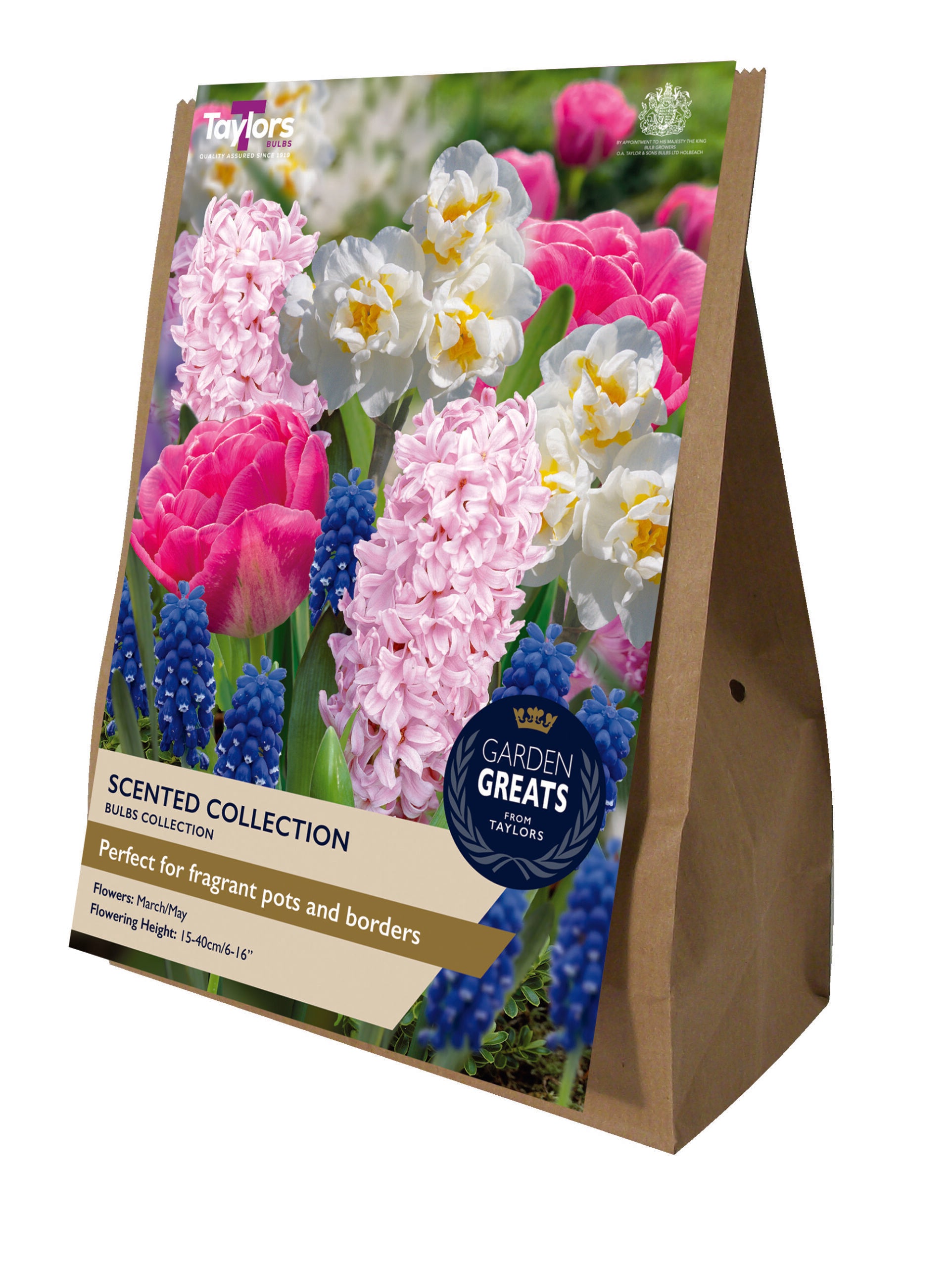 Taylor's Bulbs Garden Greats Pack Scented Collection