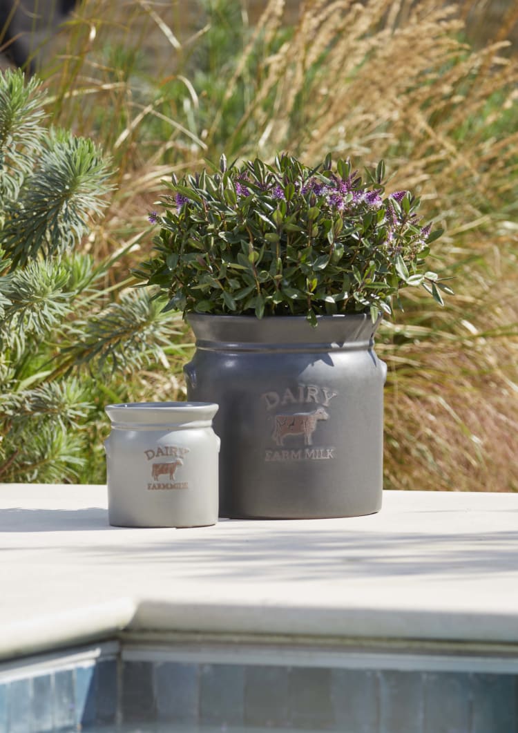 Woodlodge Dairy Matte Pots