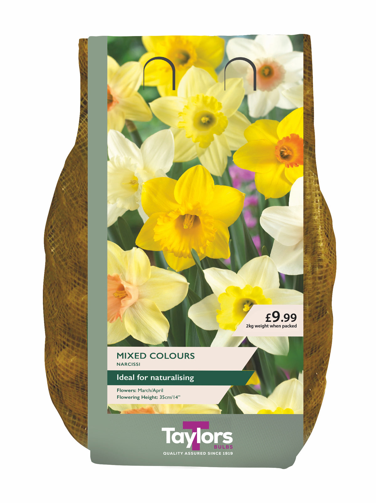 Taylor's Bulbs Carri-Pack Narcissus Mixed 2kg