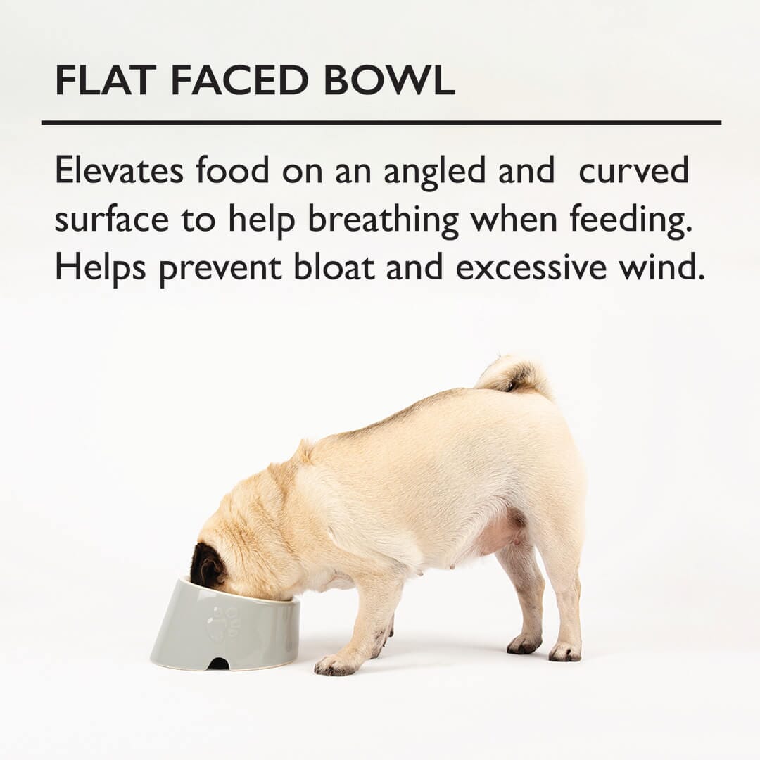 Scruffs Icon Flat Faced Pet Bowl Cream 18cm