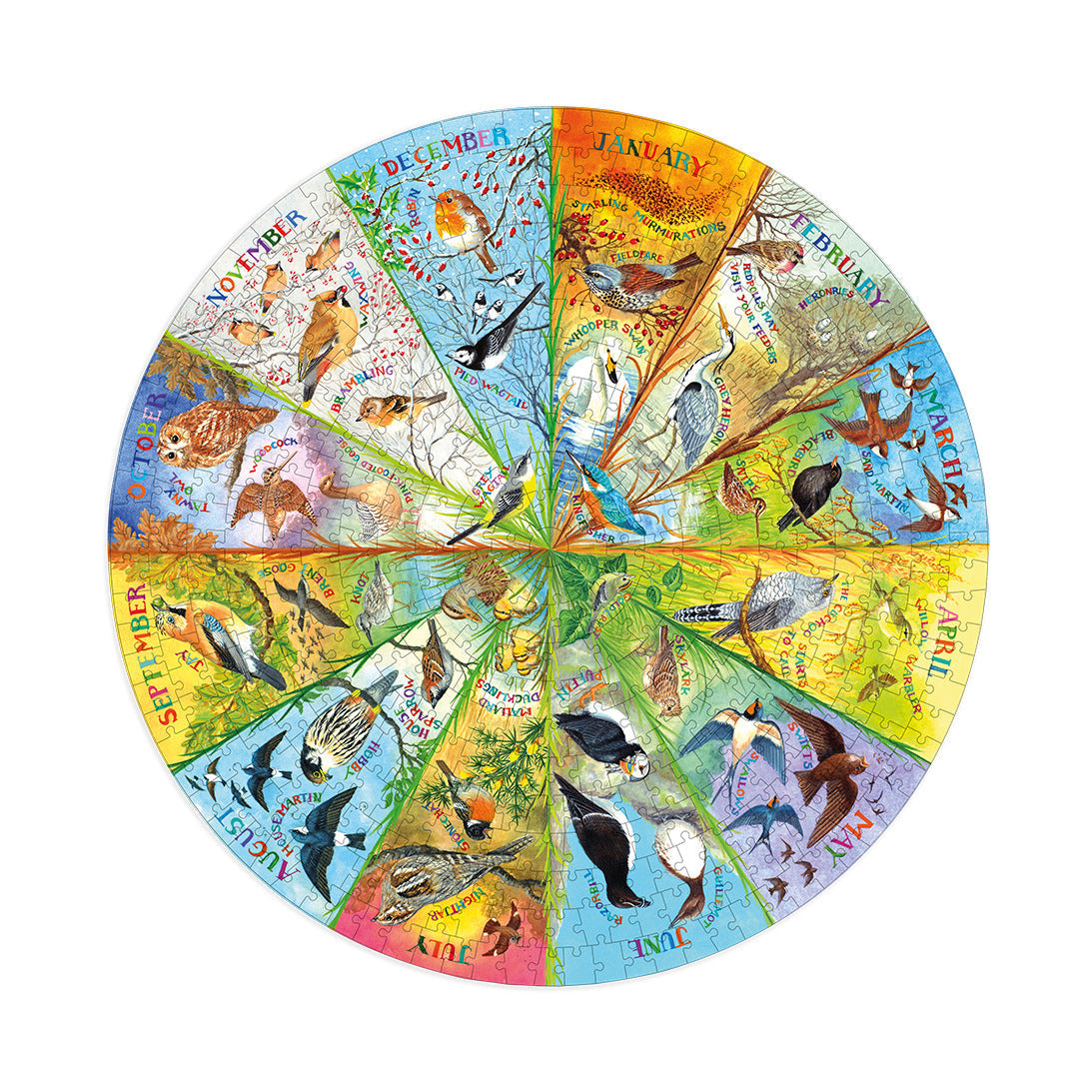 Gibsons RSPB: Birds of the Year 500 Piece Circular Jigsaw Puzzle