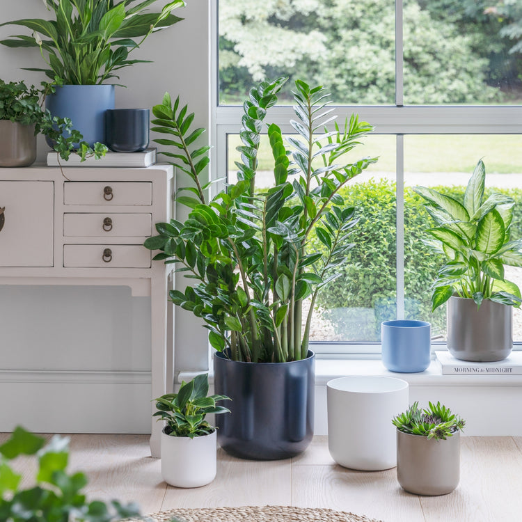 Ivyline Lisbon Planter French Navy