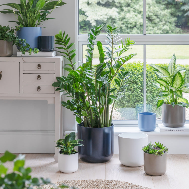 Ivyline Lisbon Planter Powder Blue