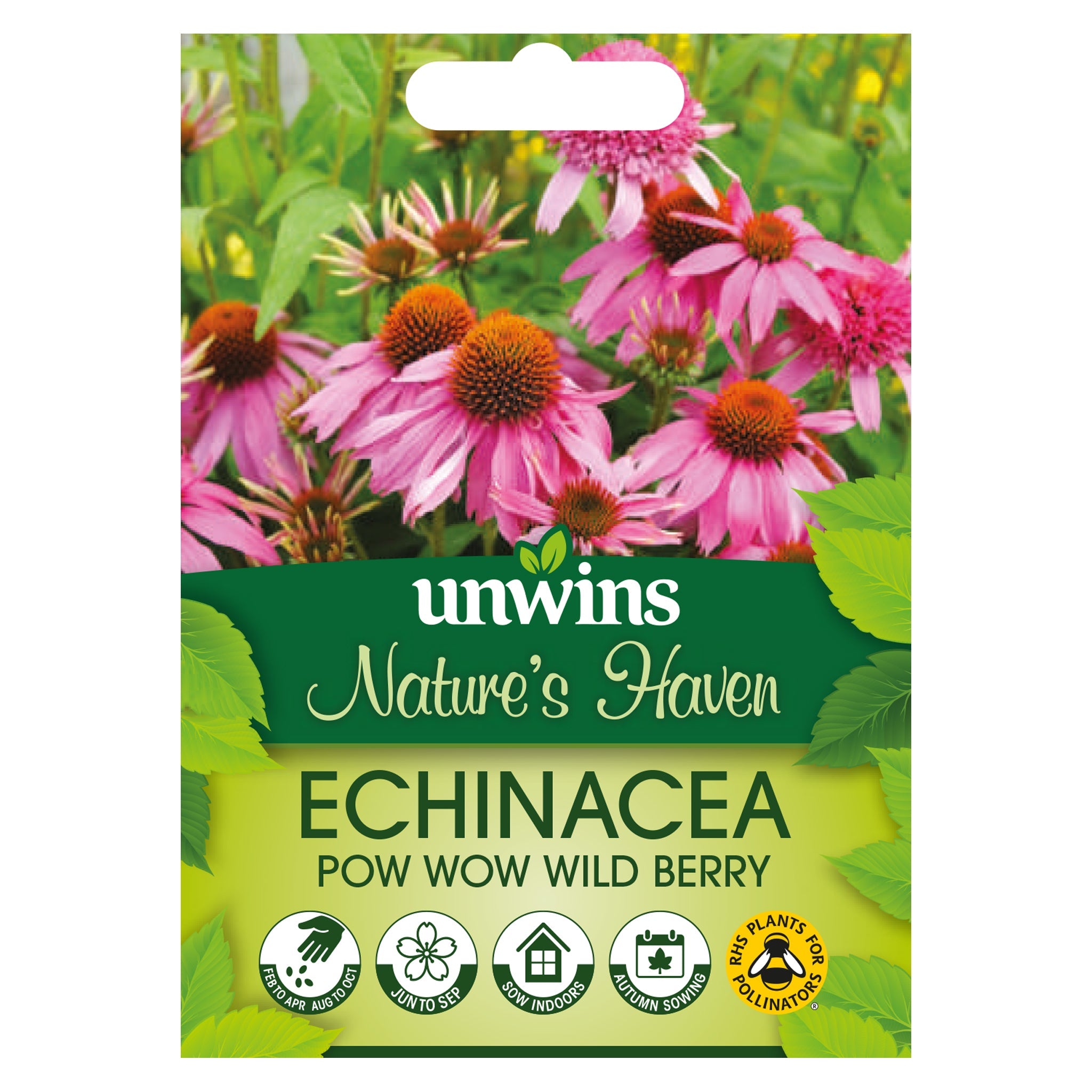 Nature's Haven Echinacea Pow Wow Wild Berry Seeds