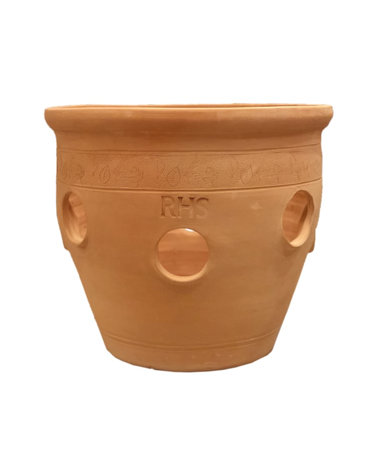 Woodlodge RHS Herb Planter