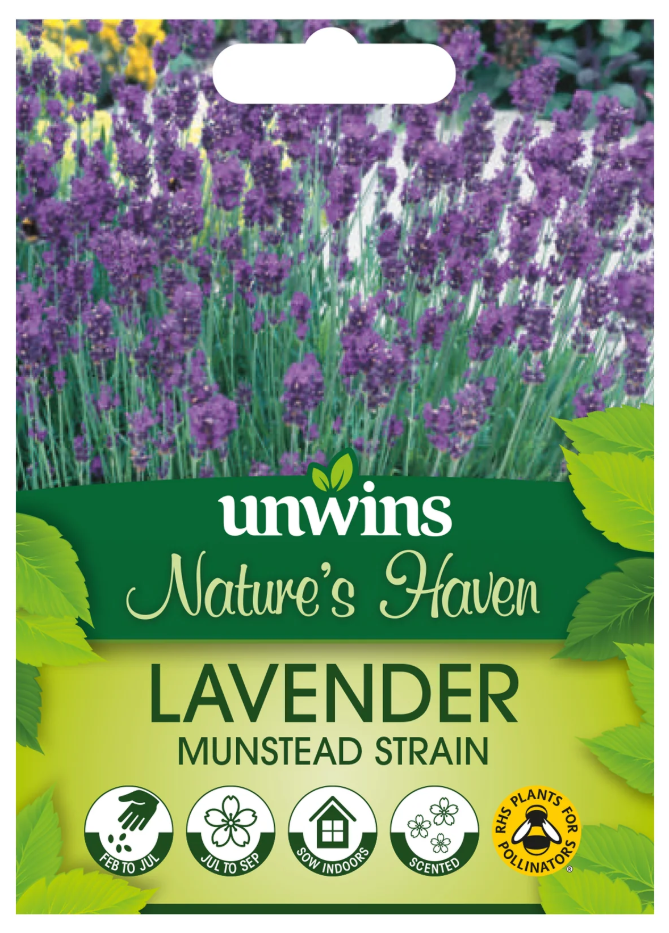 Nature's Haven Lavender Munstead Strain Seeds