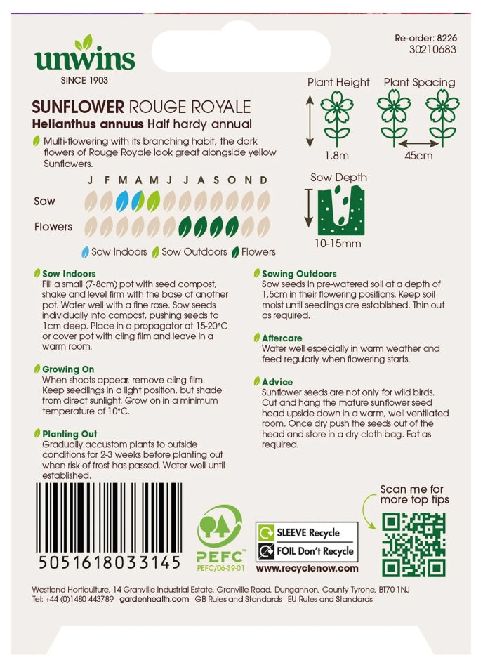 Unwins Sunflower Rouge Royale Seeds