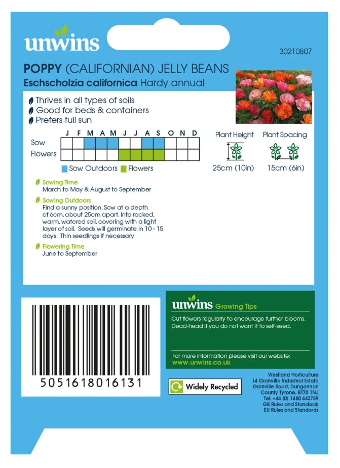 Unwins Californian Poppy XL Jelly Beans Seeds