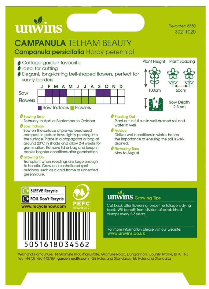 Nature's Haven Campanula Telham Beauty Seeds