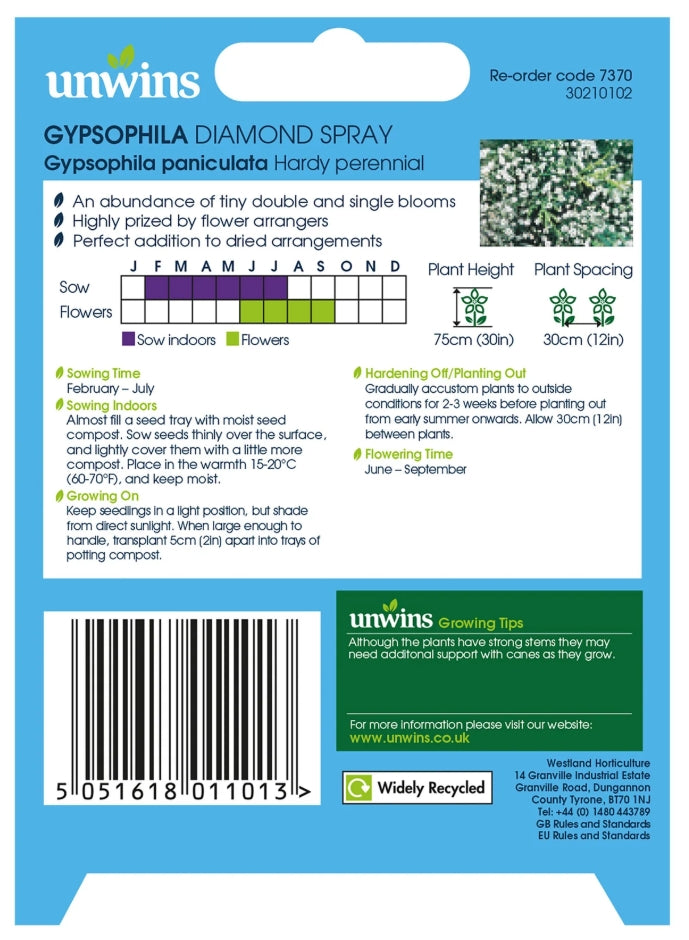 Unwins Gypsophila Diamond Spray Seeds