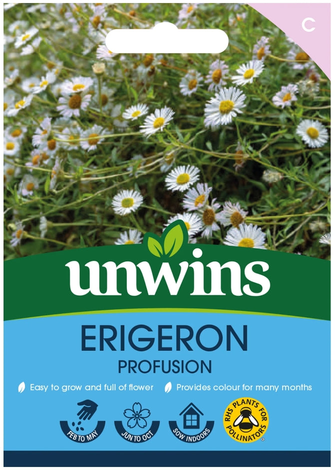 Unwins Erigeron Profusion Seeds