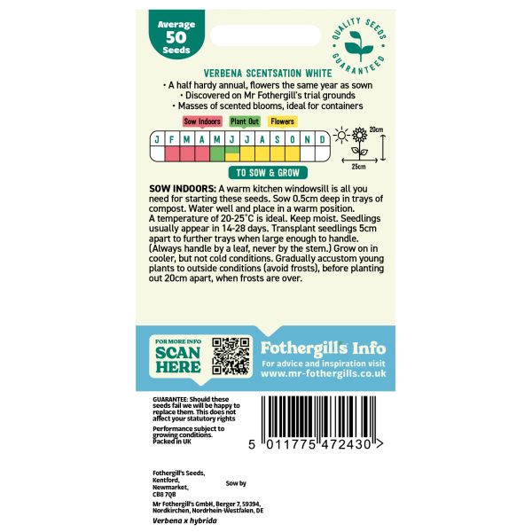 Mr Fothergills Verbena Scentsation White