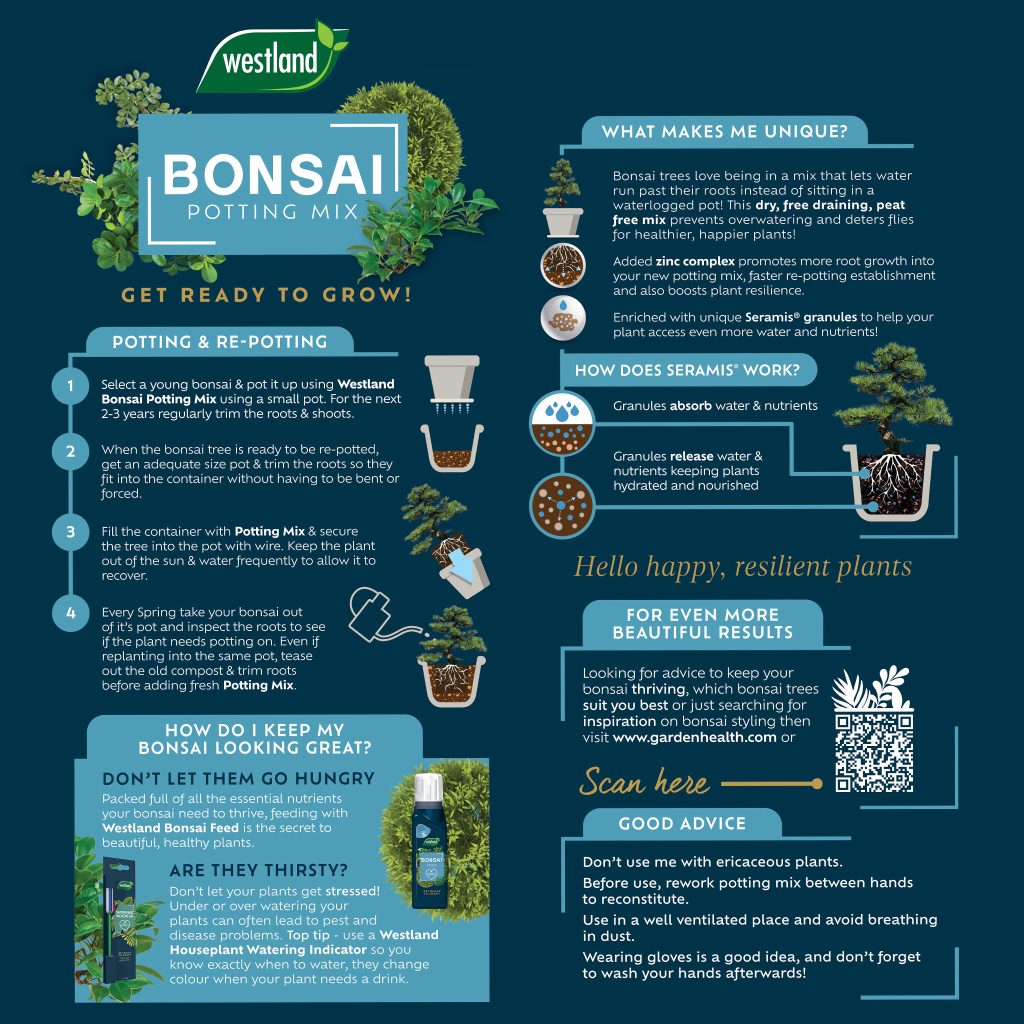 Westland Bonsai Potting Mix 4L
