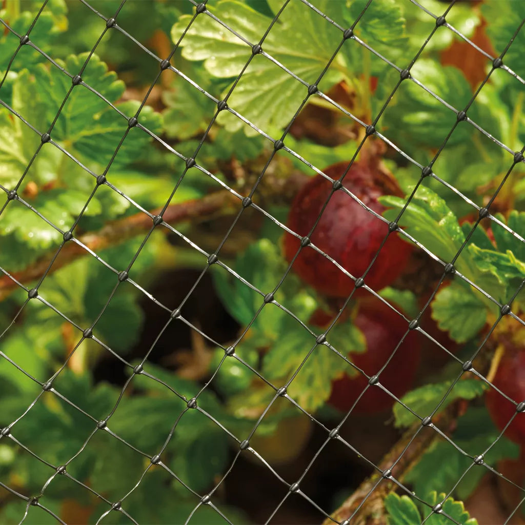 Grow It Crop & Pond Netting 4m x 2m