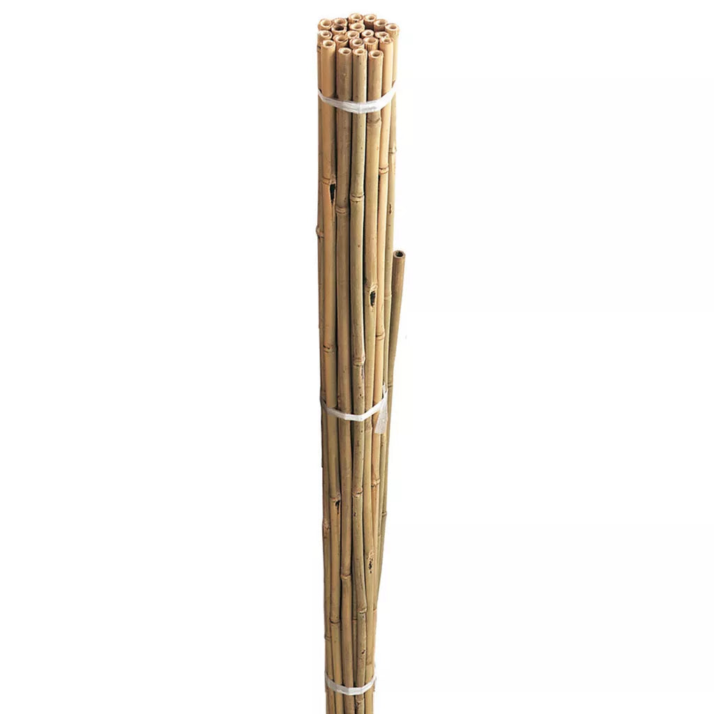 Grow It Bamboo Canes 20 Pack
